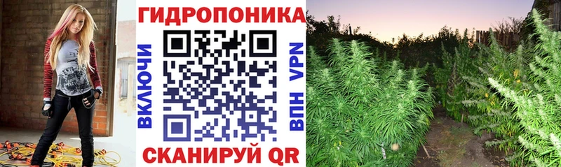 Купить где  Пучеж  Канабис сатива 