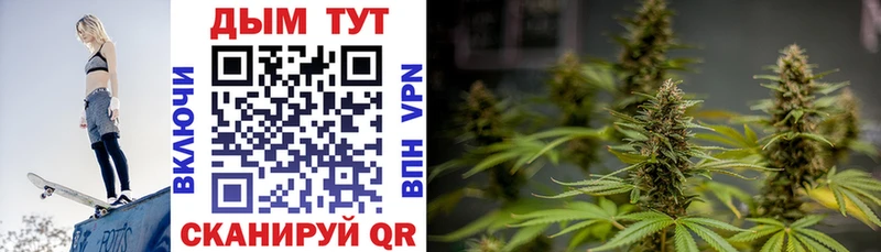 Конопля Bruce Banner Пучеж